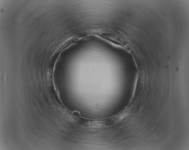 X0000065260378200603031835