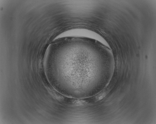 X0000065260379200603031835