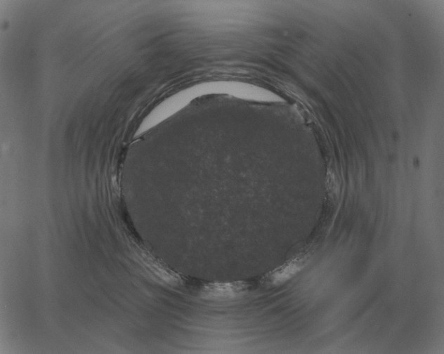 X0000065260381200603031835