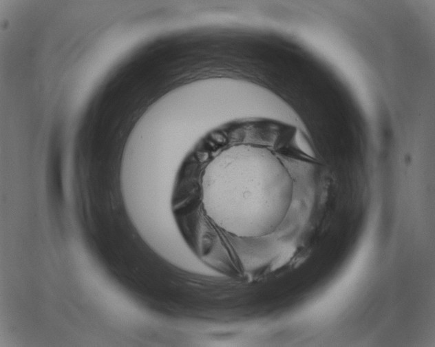 X0000065260382200603031835