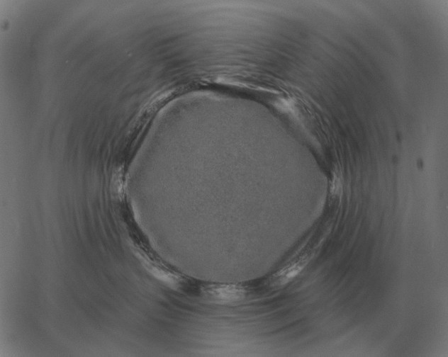 X0000065260383200603031835