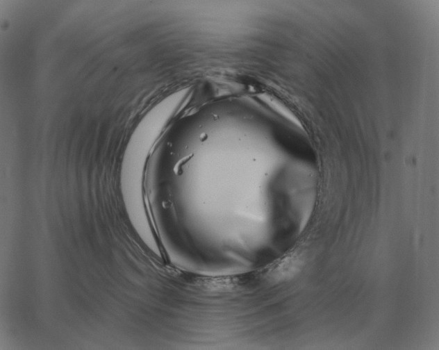 X0000065260384200603031835