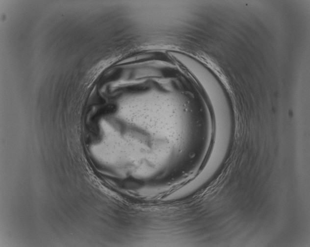 X0000065260385200603031834