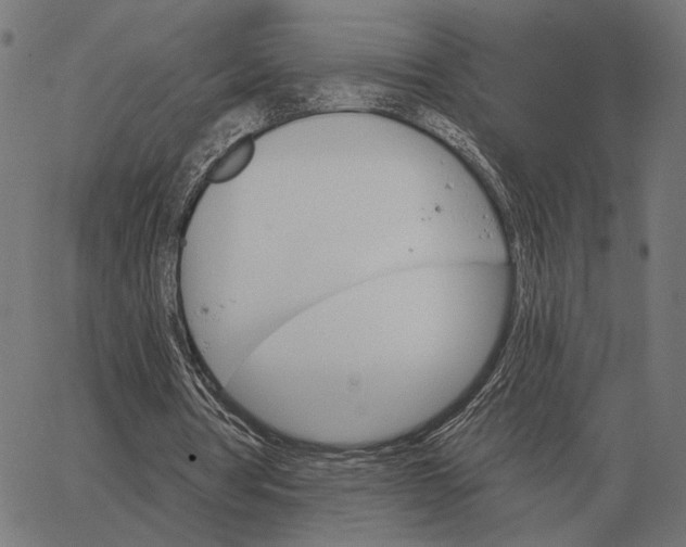 X0000065260386200603031834