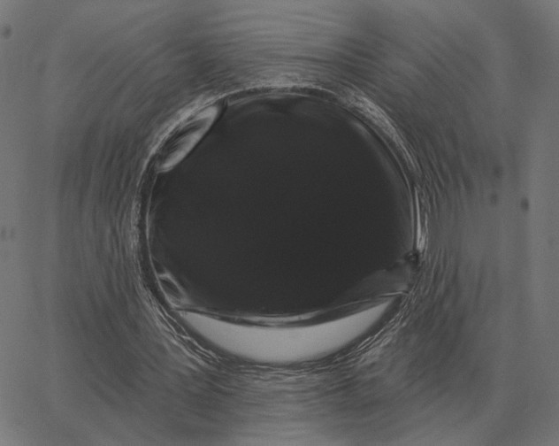 X0000065260387200603031834