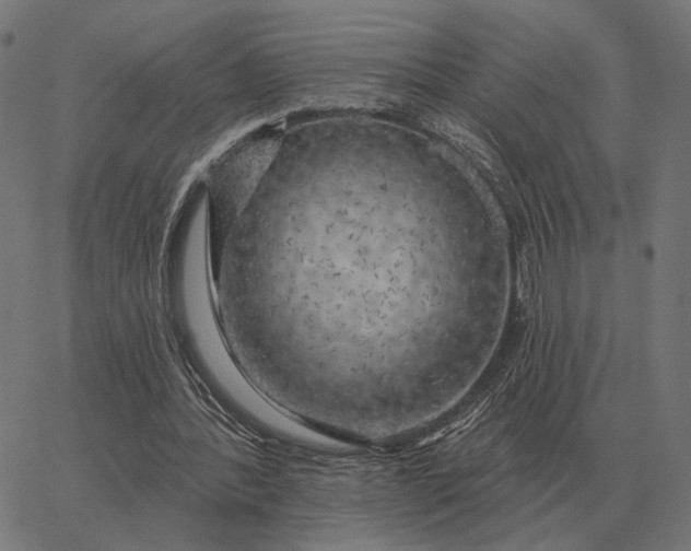 X0000065260388200603031834