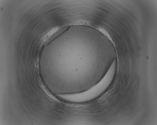 X0000065260389200603031834