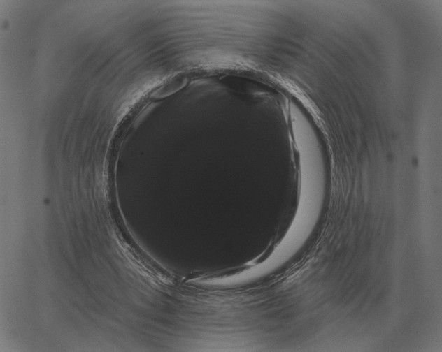 X0000065260391200603031834