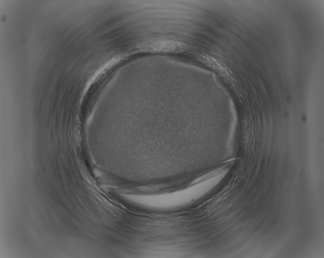 X0000065260392200603031834