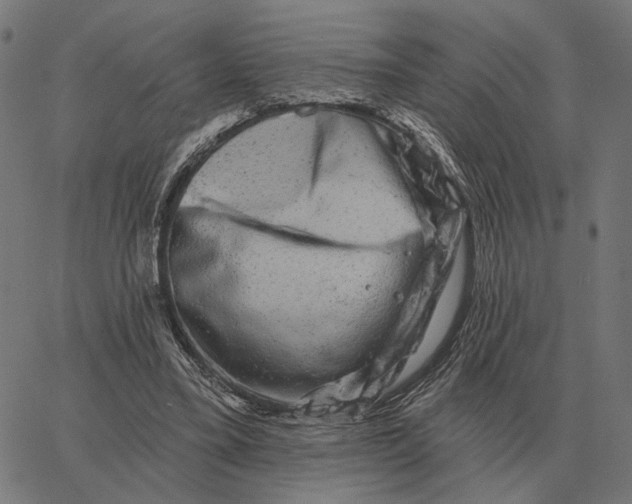 X0000065260395200603031834