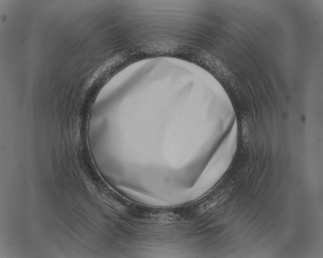 X0000065260396200603031834