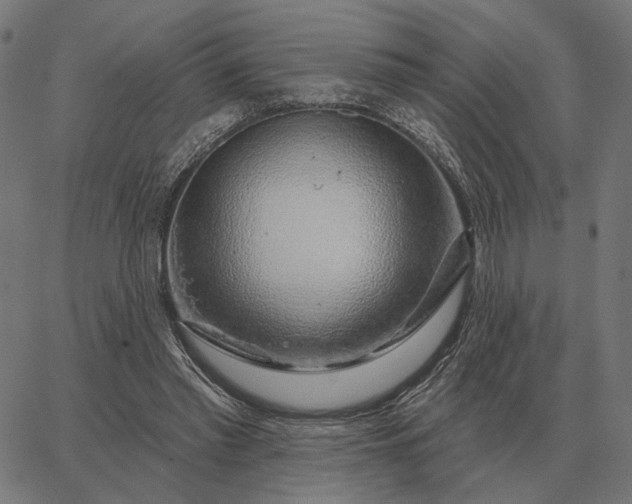 X0000065260397200603031834