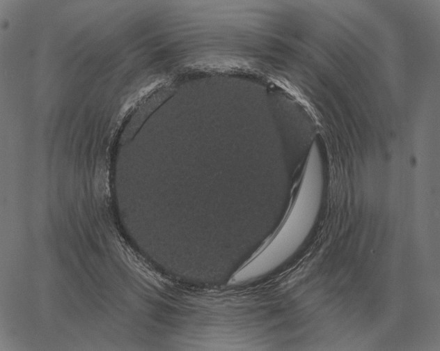 X0000065260399200603031834