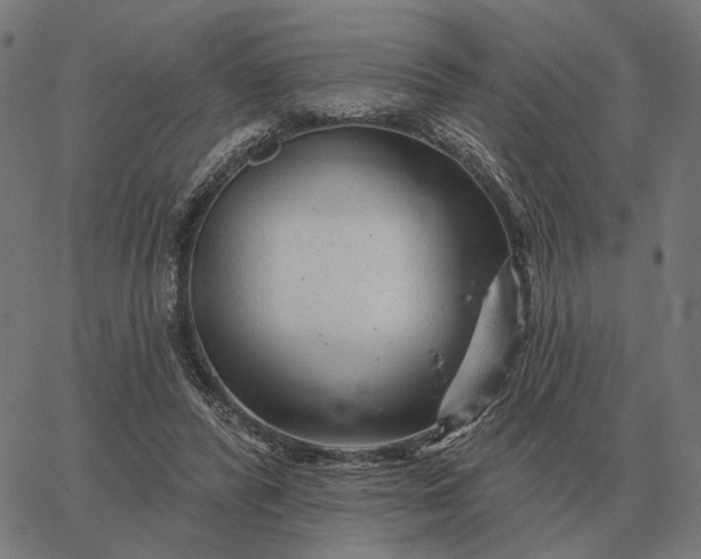 X0000065260400200603031834