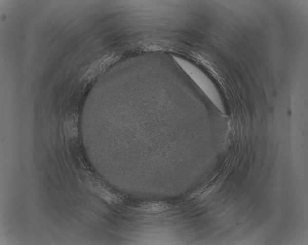 X0000065260402200603031834