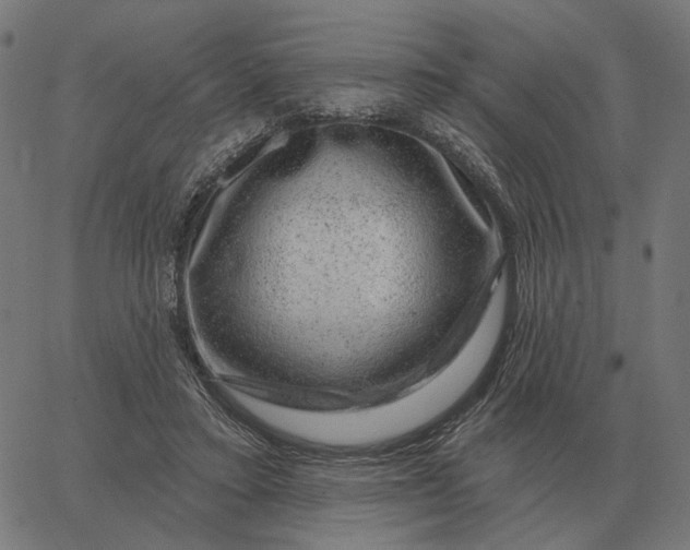 X0000065260403200603031834