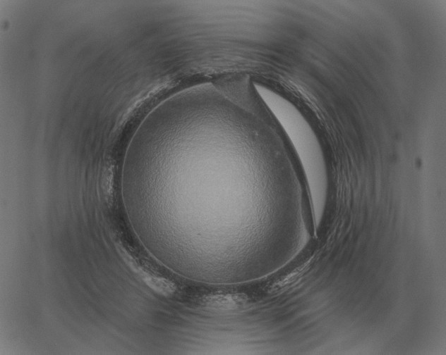 X0000065260404200603031834