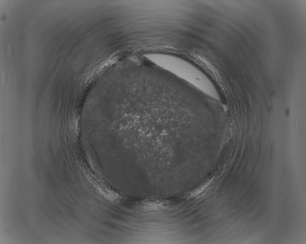 X0000065260405200603031834