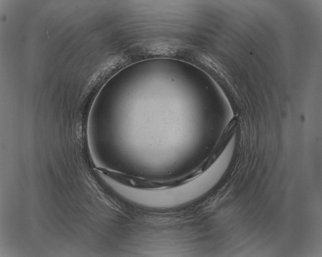 X0000065260407200603031833