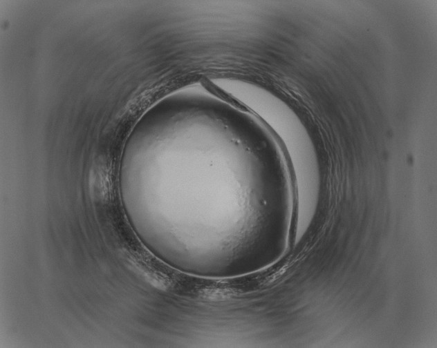 X0000065260408200603031833