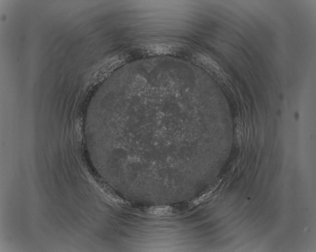 X0000065260410200603031833