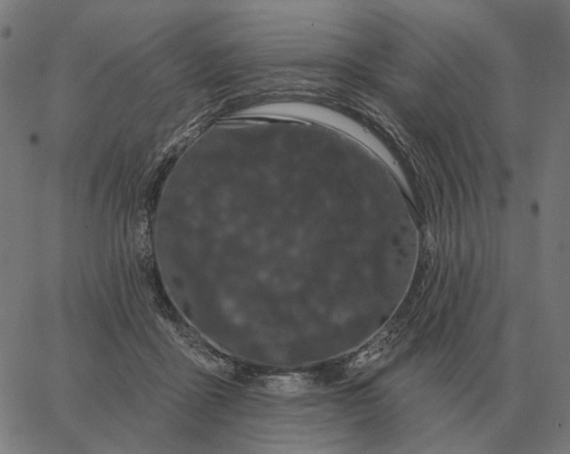 X0000065260411200603031833