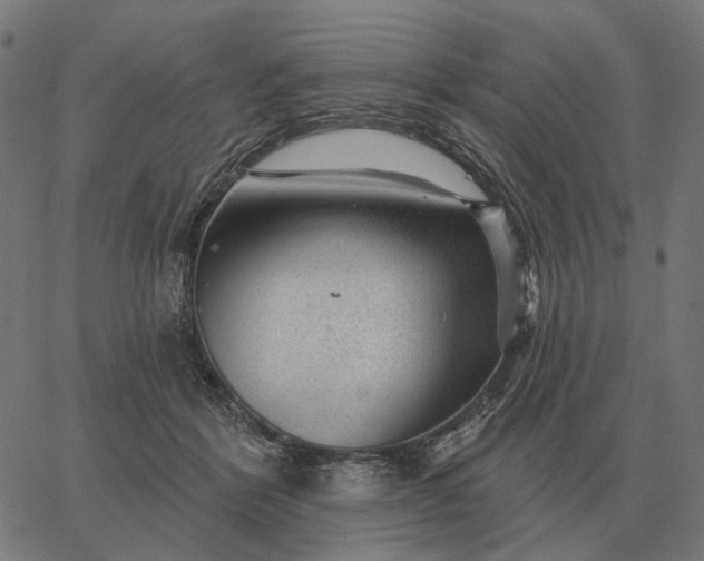 X0000065260412200603031833