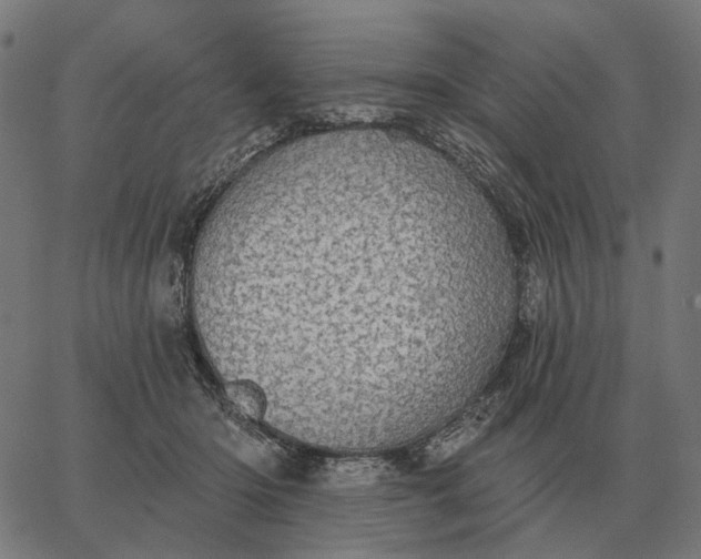 X0000065260414200603031833