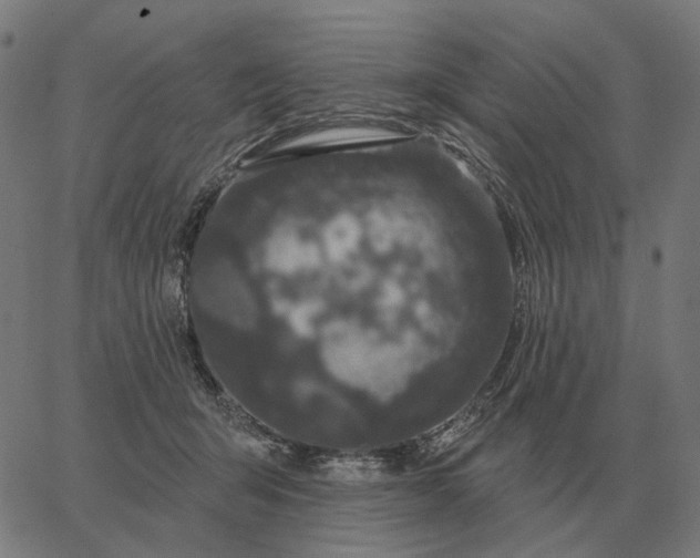 X0000065260415200603031833