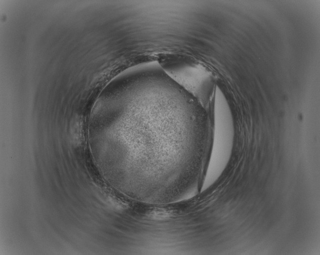 X0000065260416200603031833