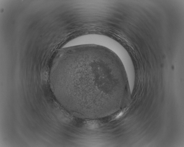 X0000065260417200603031833