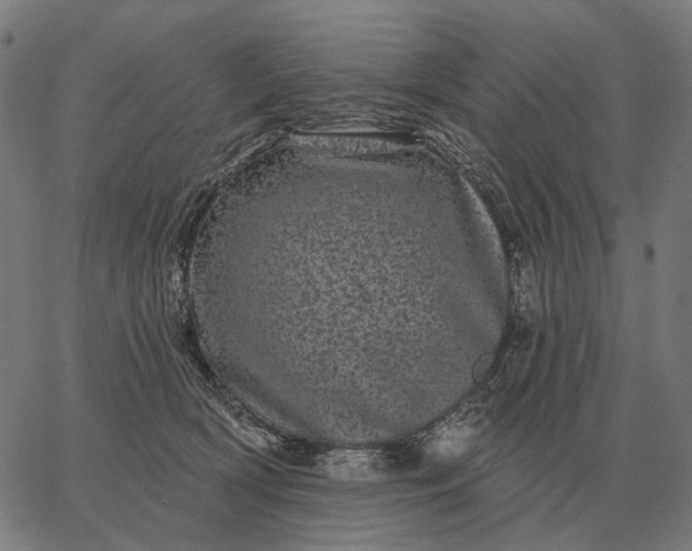 X0000065260418200603031833