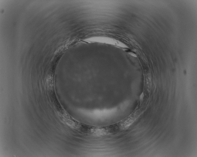 X0000065260419200603031833