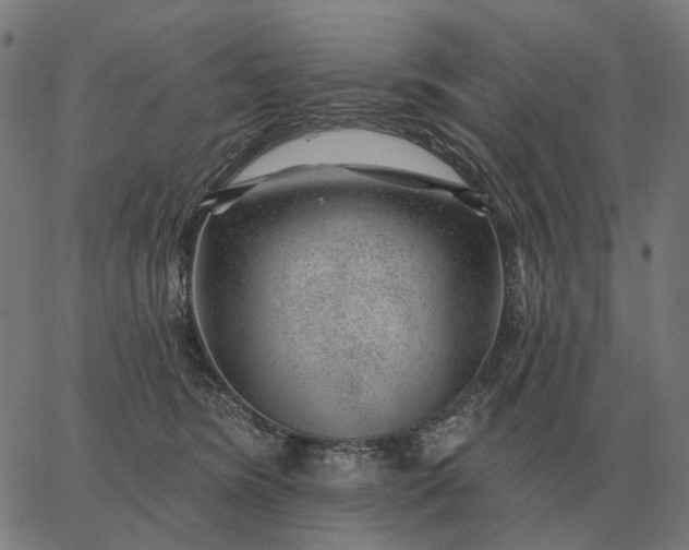 X0000065260420200603031833