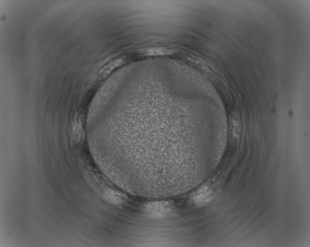 X0000065260422200603031833