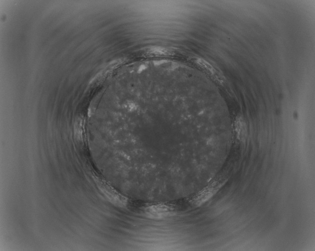 X0000065260423200603031833