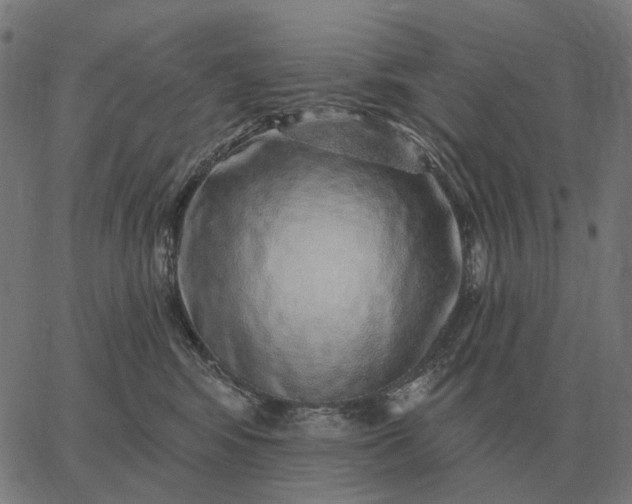 X0000065260424200603031833