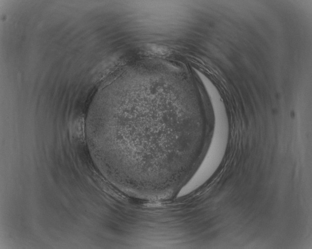 X0000065260425200603031833