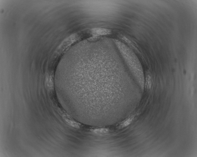 X0000065260426200603031833