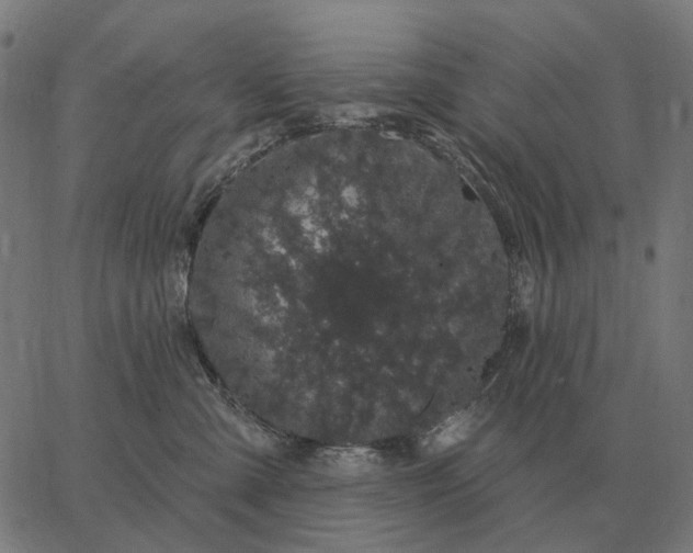 X0000065260427200603031833