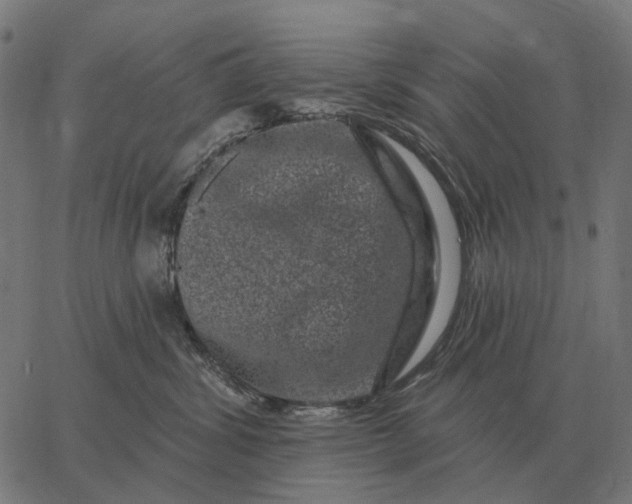 X0000065260428200603031833