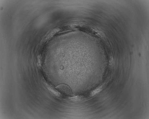 X0000065260430200603031833