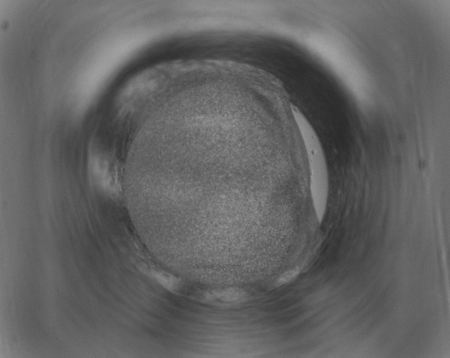 X0000065260431200603031833