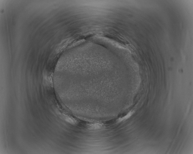 X0000065260432200603031833