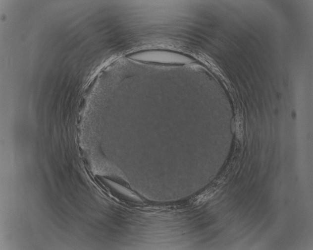 X0000065260434200603031832