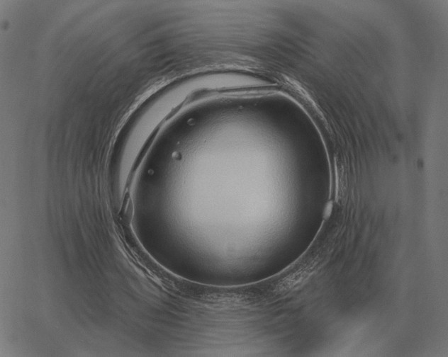 X0000065260435200603031832