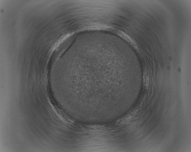 X0000065260436200603031832