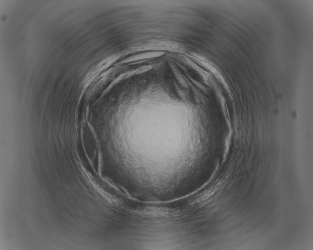 X0000065260437200603031832