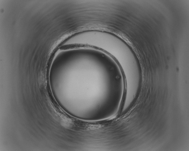 X0000065260438200603031832