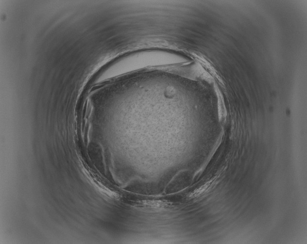 X0000065260439200603031832